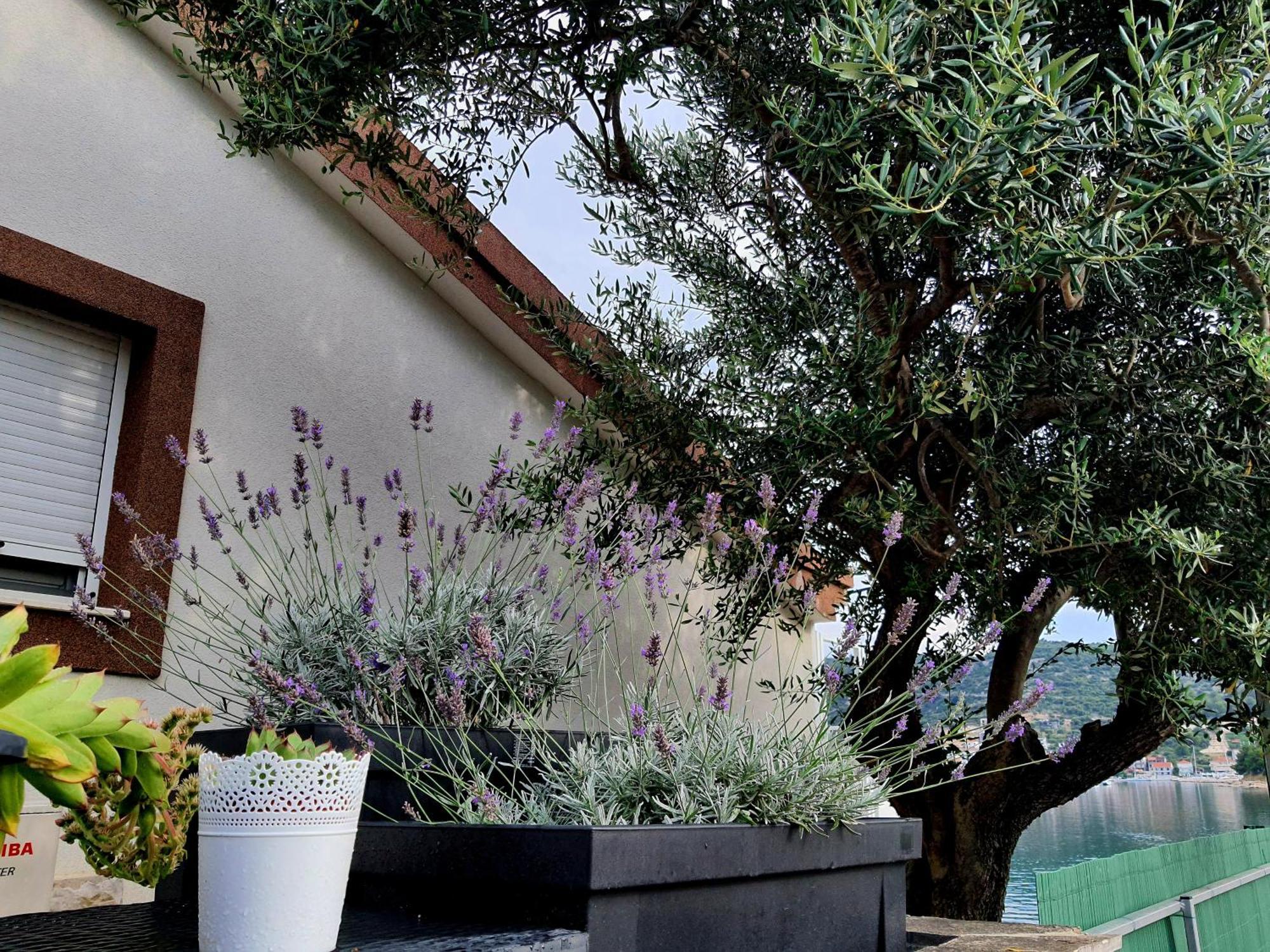 Villa Sunshine Baum Marina Dış mekan fotoğraf